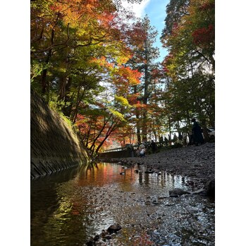 紅葉狩り | 浜松市の美容室 Le・reve(ル・レーヴ)和田店