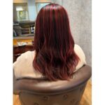 レッドブラウン【加藤】