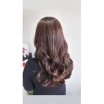 ツヤ仕込みウォームブラウン　【間瀬】