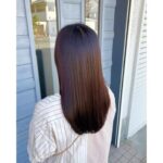 レッドブラウン【谷平】
