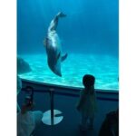 名古屋港水族館に行ってきました【横井】